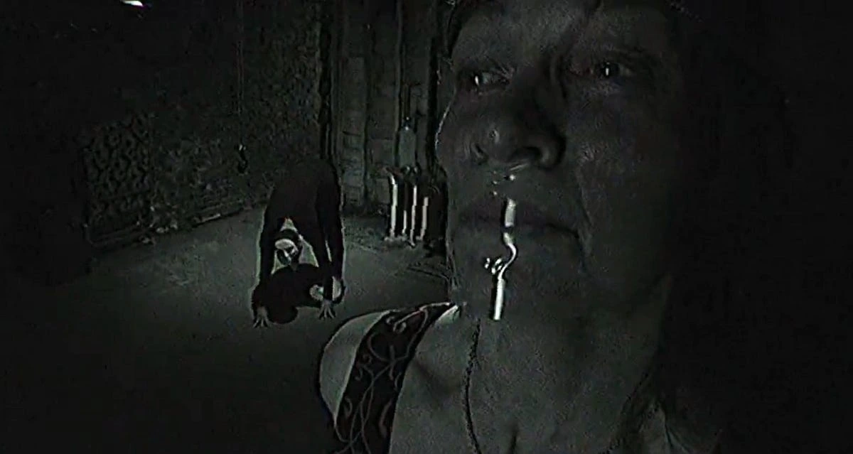 The Poughkeepsie tapes critique film