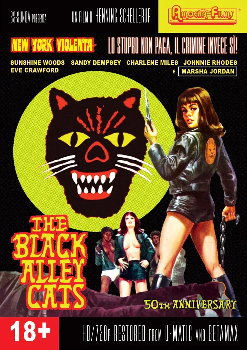 The Black Alley Cats affiche film