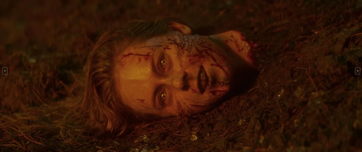 Evil Dead Burn Critique Film