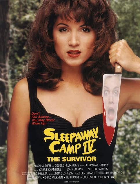 Massacre au camp d'été 4 affiche film